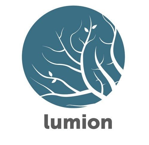 Lumion Pro 13.6 Crack Reddit + License Key 2023 Free Download
